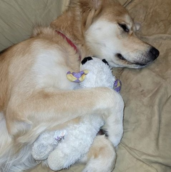 Christina Dolinski - Poshmark Profile Picture of Christina Dolinski (@slysix) on Poshmark