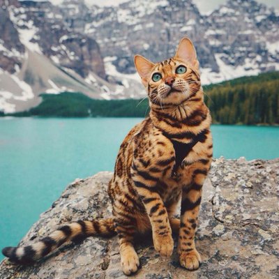 Profile Picture of Lucio adame hernandez (@adame_lucio) on Twitter