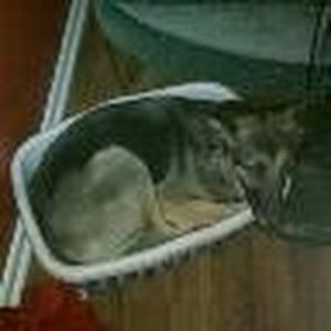 Profile Picture of Jimi (@jamesmccgary) on Tiktok