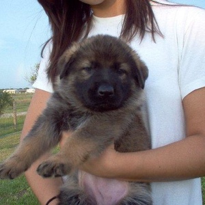 Profile Picture of Neil Okrent (@403330957) on Myspace