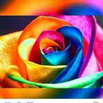 Profile Picture of Wasey Cindras (@lesbianlover_2507_) on Instagram