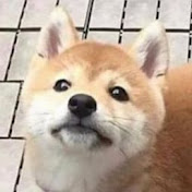 Profile Picture of Daryl Ng (@TheNinjagoCole) on Youtube