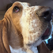 Profile Picture of Benny Morrison (@BennyMorrison33) on Youtube