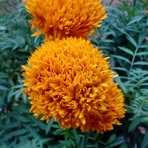 Vishnu K Muthu - Facebook Profile Picture of Vishnu K Muthu (@vishnuk.muthu.7) on Facebook