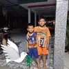 Profile Picture of tamngu (@tamngu64) on Tiktok