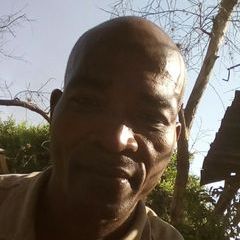 Profile Picture of rogeliomerazapata (@rogeliomerazapata) on Tiktok