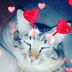 Profile Picture of Milo Sanchez (@milosanchez178) on Instagram