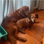 Derick Walters - Facebook Profile Picture of Derick Walters (@Derick-Walters) on Facebook