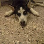 Profile Picture of Alexander Pargass (@alexanderpargass34) on Instagram