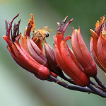 SDA004 - Flickr Profile Picture of SDA004 (@SDA004) on Flickr