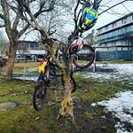 Profile Picture of Aaron Stoxreiter (@aaronstoxreiter) on Instagram