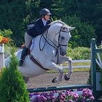 Profile Picture of Emily // Casanova “Nova” (@ehwquestrian) on Instagram