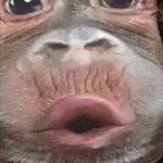 Profile Picture of Rick Whitmer (@whitmerrick) on Instagram