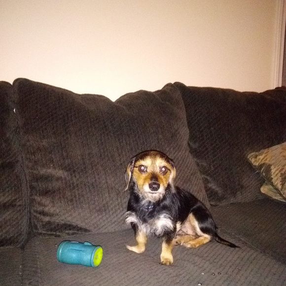 Steve Kunz - Poshmark Profile Picture of Steve Kunz (@stevekunz) on Poshmark