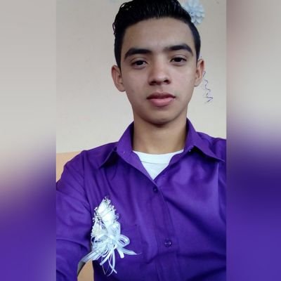 Profile Picture of Anibal Orellana... (@anibalorellan11) on Twitter