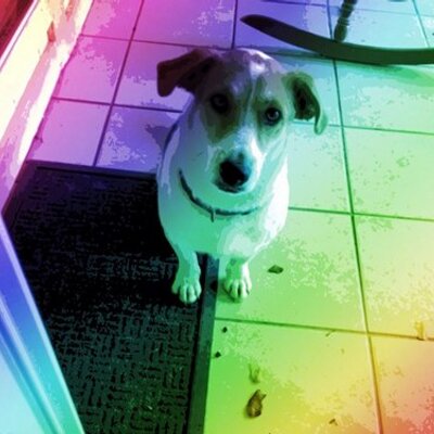 Profile Picture of Bryant Chen (@chen_bryant) on Twitter