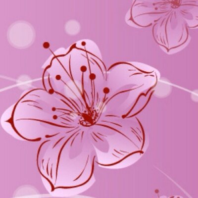 Profile Picture of Stacey Jacobsen (@staceyjakes) on Twitter