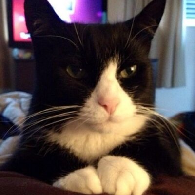 Profile Picture of Martin And Janey (@Martinandjaney) on Twitter