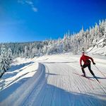 Profile Picture of Matt Strand (@mattystrand) on Instagram