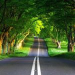 Profile Picture of Piotr Walczak (@peterxuwu) on Instagram