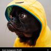 Profile Picture of Benjamin Heil655 (@@dogo192) on Tiktok