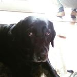 Profile Picture of Michaelandmolly (@michaelrcrawley) on Instagram
