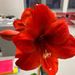 Profile Picture of Robert Rountree (@robertr5361) on Pinterest