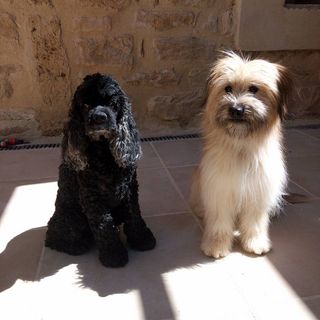 Profile Picture of Florence Bandinelli (@florence.bandinelli) on Facebook