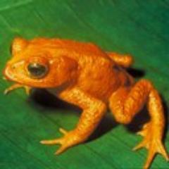 Profile Picture of Bill Kolodzey (@sabboth22) on Twitter