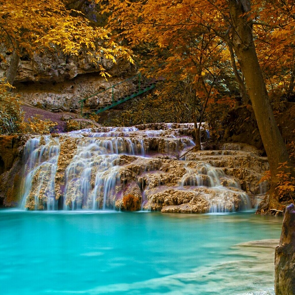 Profile Picture of Rocky Olson (@rockyolson2) on Poshmark