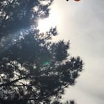 Profile Picture of Møhâmmãđ ÃbâźiD | محمد أبازيد (@m.o.h.a.m.m.a.d_98) on Instagram