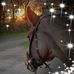 Profile Picture of Chris Venables (@chris.venables.54) on Facebook