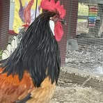 Profile Picture of Kaitlyn Strain (@Kaitlyn-Strain) on Facebook