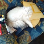 Profile Picture of Andrea BekemeierBrettholle (@andrea.bekemeierbrettholle) on Facebook