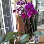 Profile Picture of Bertha Pasillas (@bertha.pasillas.102) on Facebook