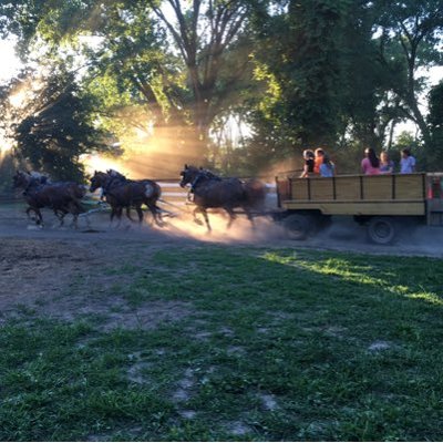 Profile Picture of Matthew Blakeslee (@mblakeslee42) on Twitter