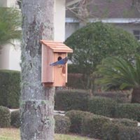 Profile Picture of Marilyn Hodge (@marilyn-hodge-4) on Quora