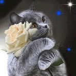 Profile Picture of Daniele Perrot (@Daniele-Perrot) on Facebook