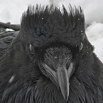 Profile Picture of Brent Davis (@davisbrent16) on Flickr