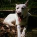 Profile Picture of Joe Hoskins (@joe.hoskins.923) on Facebook