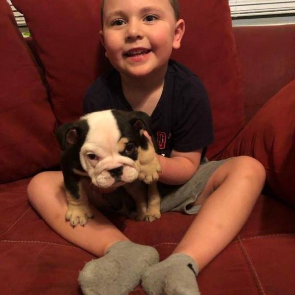 Profile Picture of Debbie Farrell (@debbiefarrell) on Poshmark