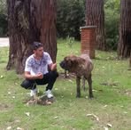 Profile Picture of Mariio Cotto (@mariio.cotto) on Facebook