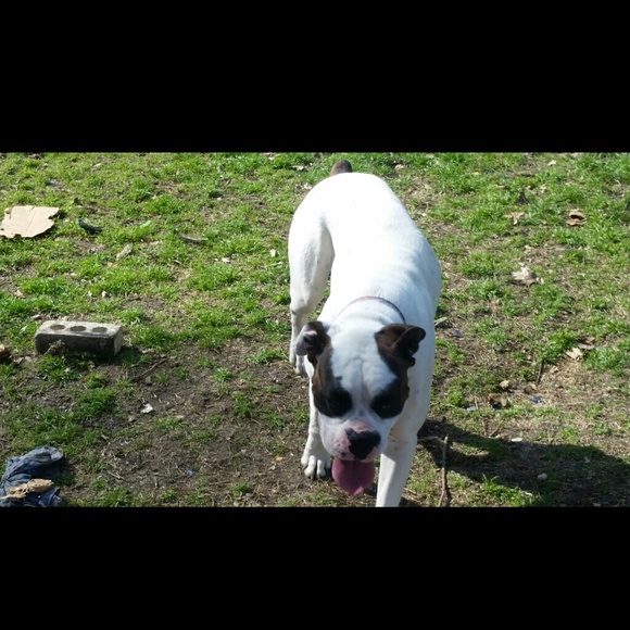 Profile Picture of David Galicia (@david0714) on Poshmark