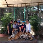 Profile Picture of Greg Cardenas (@greg.cardenas) on Instagram