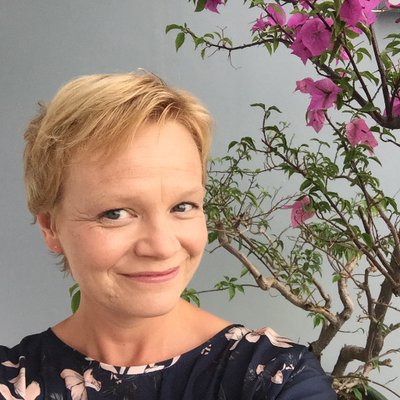 Profile Picture of Sue Holloway (@suehollowayblog) on Twitter
