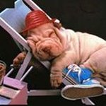 Profile Picture of Michael Kravets (@michaelkravets) on Instagram