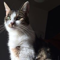 Profile Picture of Audrey Perrin (@audrey-perrin-1) on Quora