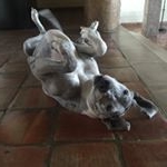 Profile Picture of Juan Pablo Diaz Pompa (@jp_diaz_pompa) on Instagram