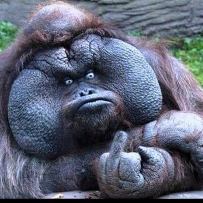 Profile Picture of Richard Markwell (@LAZARUSL0NG) on Twitter