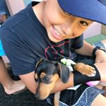 Profile Picture of Bailey Wong (@little_bailey_143) on Instagram